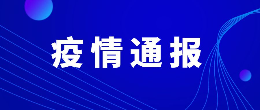 新澳门管家婆一句,新澳门管家婆一句，揭示背后的智慧与策略