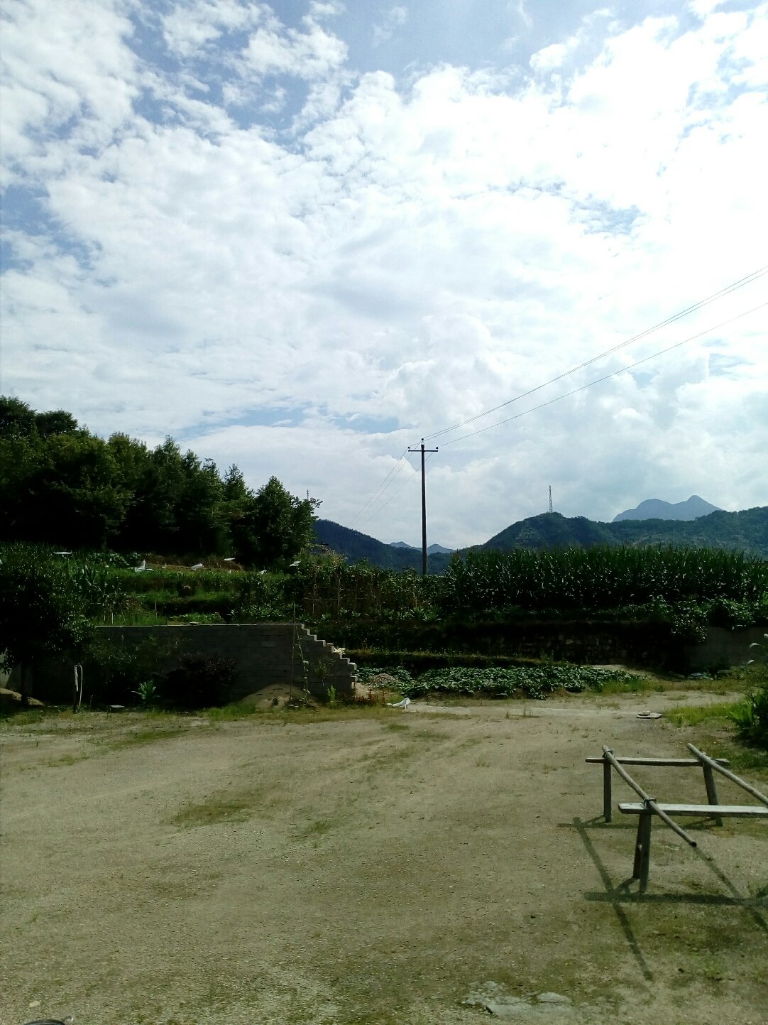 光月山村民委员会最新天气预报,光月山村民委员会最新天气预报