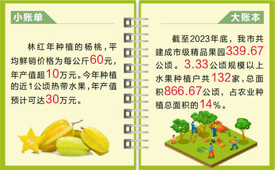 4949正版免费资料大全水果|化流释义解释落实,探索水果的世界，从化流释义到落实正版免费资料的深度解析