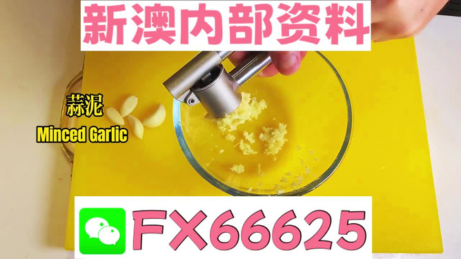 新澳精准资料期期精准24期使用方法|师长释义解释落实,新澳精准资料期期精准24期使用方法与师长的释义解释落实