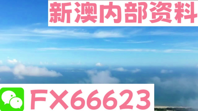 新澳2024最新资料24码|反应释义解释落实,新澳2024最新资料24码，反应释义解释与落实
